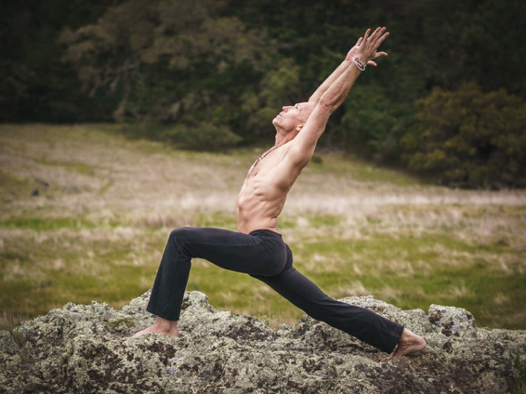 Embodied Flow – with James Higgins May 30 & 31st – Ananta Yoga and Ayurveda